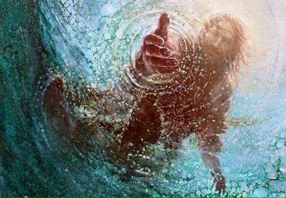 FB_IMG_1459037642630